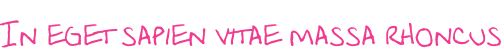 In eget sapien vitae massa rhoncus